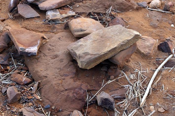 Morsum Kliff 17.jpg - Am Morsum Kliff